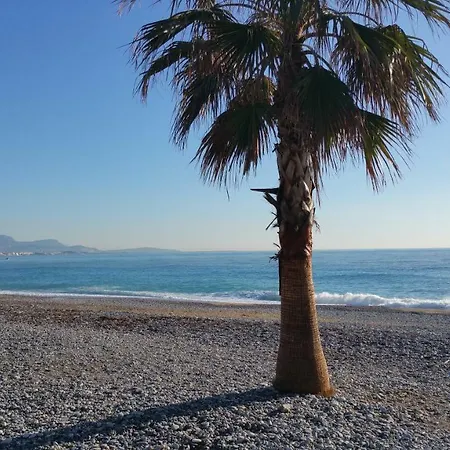 Apartamento L'oasis